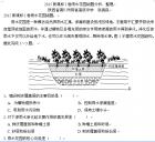 2015新课标I卷雨水花园组题分析、整理