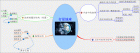 学习绘制思维导图的笔记