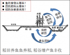 听李京燕老师《新课标下地理高中教学》感悟