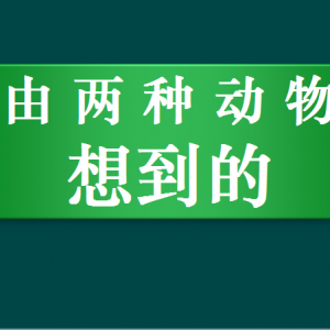 程良安：由两种动物想到的