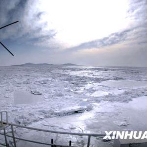 黄渤海海冰冰情 记者航拍辽东湾海冰